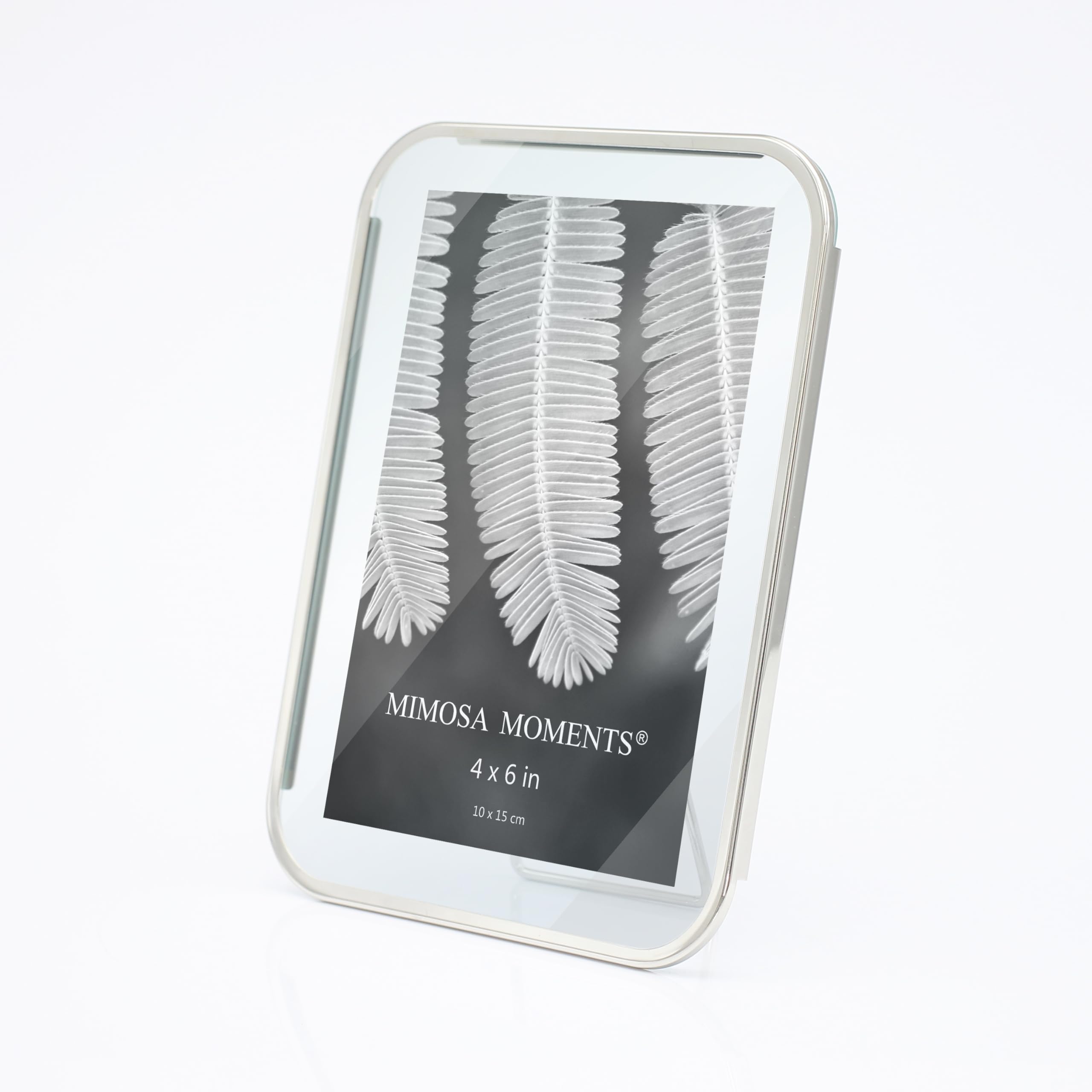 Amazon.com - MIMOSA MOMENTS 4x6 Rounded Corner Floating Silver