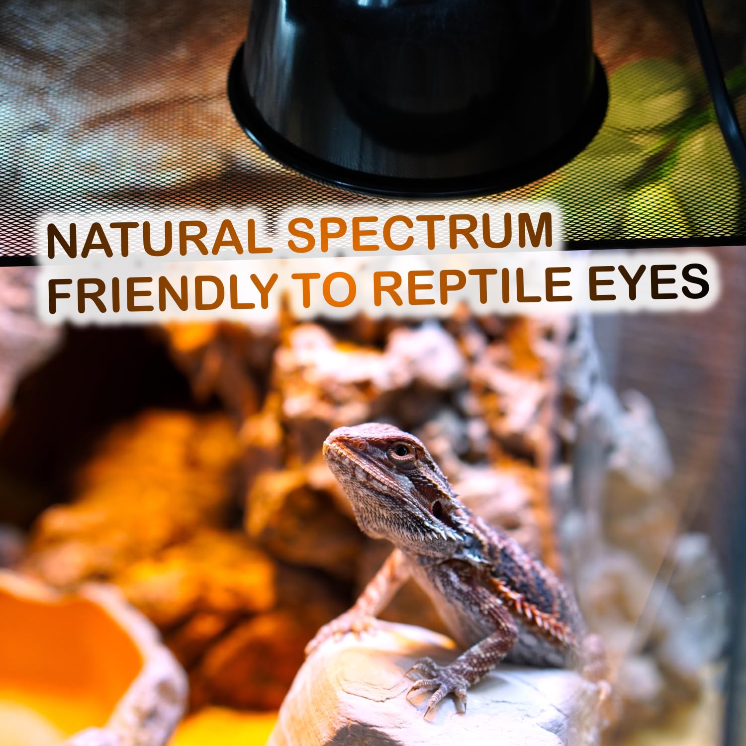 ReptiKing 100W Reptile Heat Lamp Bulbs, 2 Value Pack, Daylight Basking Spot, 2025 G3, Bearded Dragon/Turtle/Lizard/Snake Heating Bulb, UVA Heat Lamp, Basking Light for Reptiles - image 2