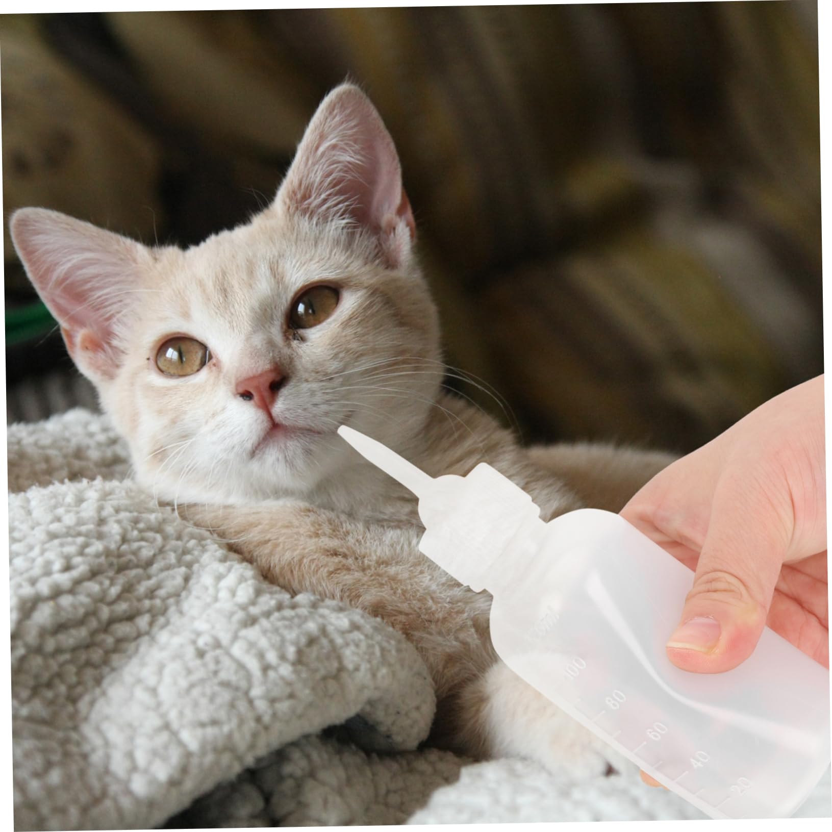 Hemoton Pet Feeder Bottle Set 4 Pack Kitten Puppy Milk Bottle Easy to Clean Portable for Outdoor Use