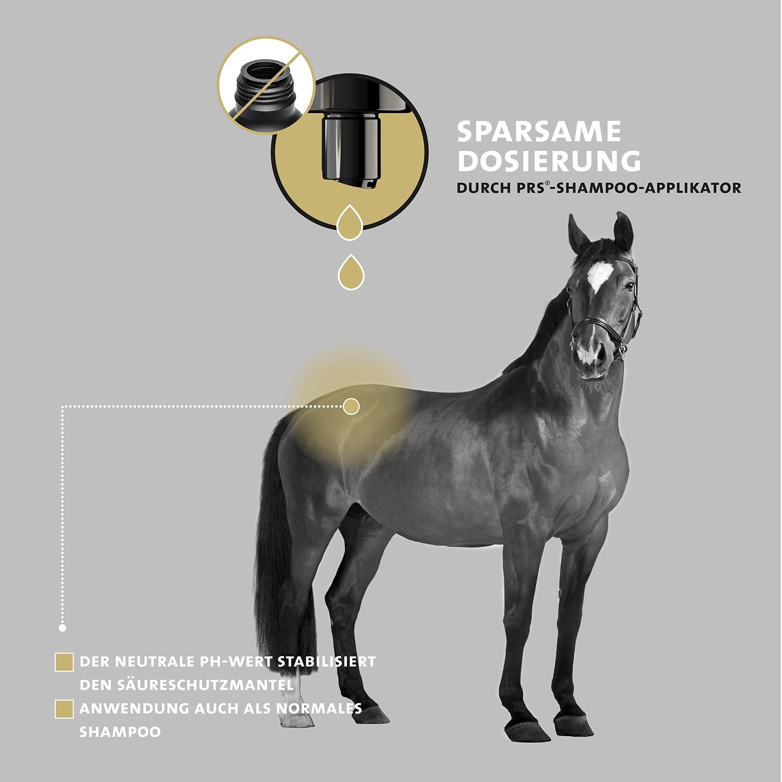 Peticare Anti-Parasiten Pferde-Shampoo | gegen Milben Flöhe Pilze | lindert effektiv Juckreiz & unterstützt Regenerationsprozess | einzigartiges PRS® System für Lange Wirkung – petHorse Health 2021