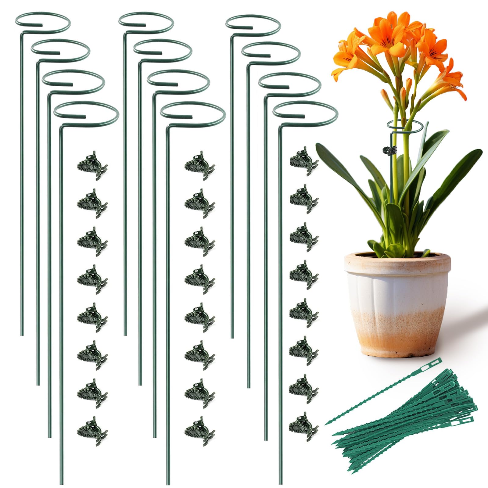 Amazon.com: Plant Stake Support - 12 Pack, Garden Single Stem
