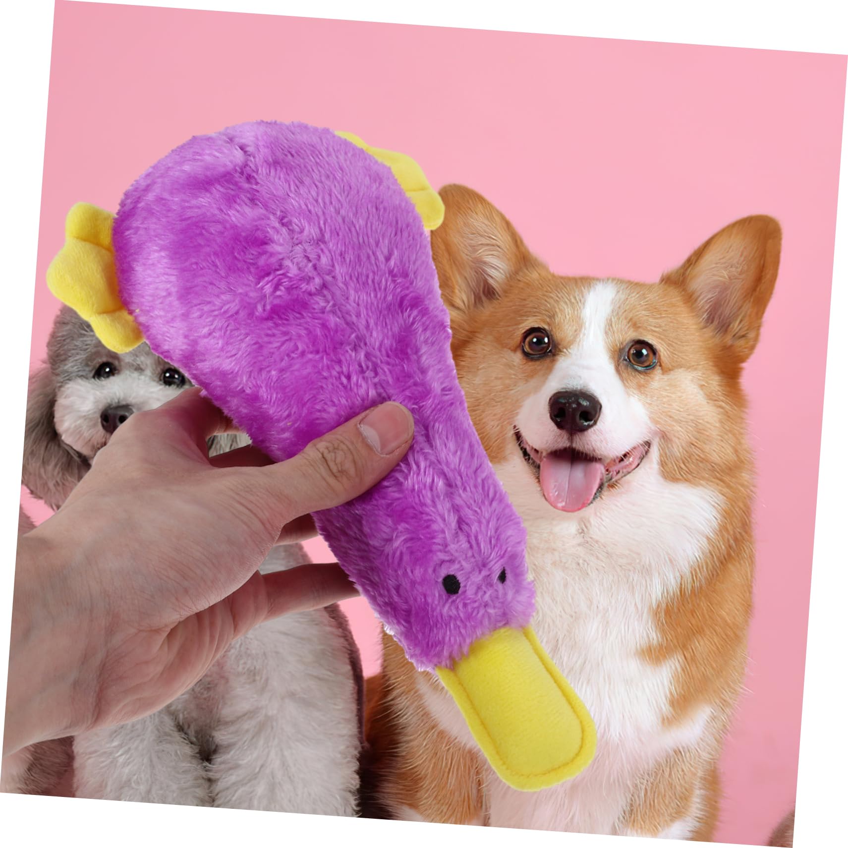 TOYANDONA Jouet Chien Peluche Qui Couine Jouet à Mâcher pour Chiot et Animal de Compagnie Doux et Amusant