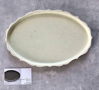 猪原朱乃さん お皿2枚セット Amazon.co.jp: 益子焼 猪原朱乃さん 美しいオーバル皿 28.5