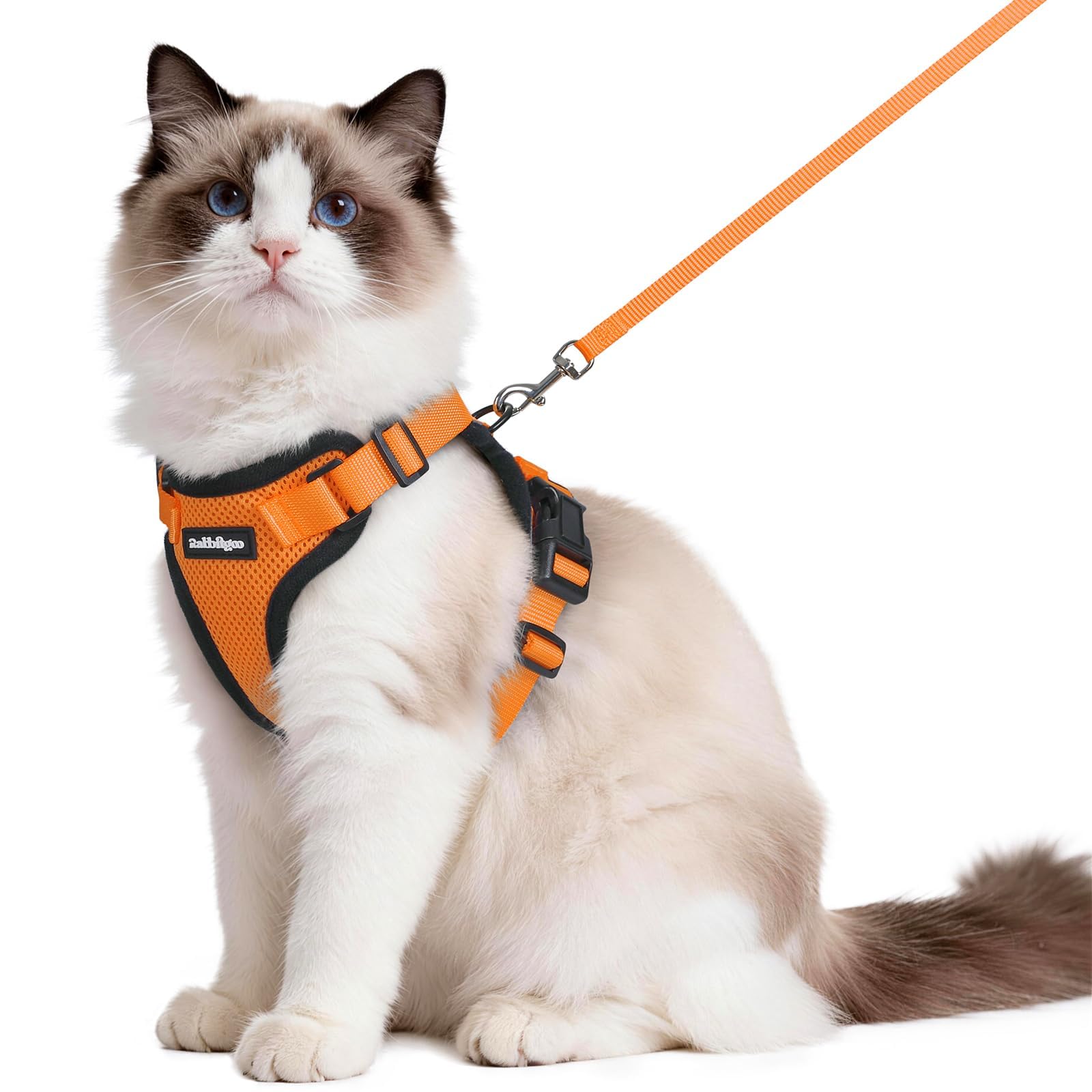 Photo 1 of rabbitgoo Escape Proof Cat Harness and Leash Set, M, Orange
