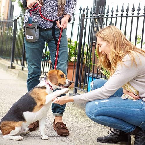 Miniatura 5 de JSXD Correa para perro, correa de perro resistente de 5 pies con doble asa con cómodo acolchado y reflectante, correas de cuerda para perros