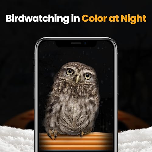 Miniatura 8 de Comedero inteligente para pájaros con cámara verde