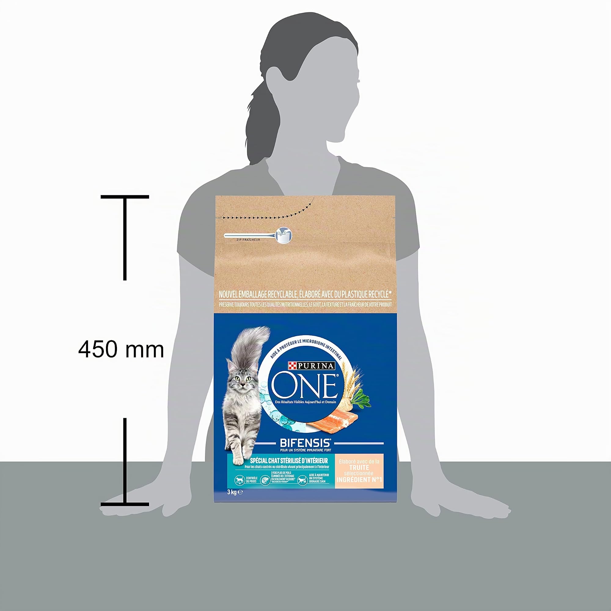 PURINA ONE Bifensis | Speziell für sterilisierte Katzen im Innenbereich | Trockenfutter | hilft bei der Gewichtskontrolle, erhält EIN gesundes Harnsystem, entfernt Magenhaare | Forelle | Beutel 1x 3kg