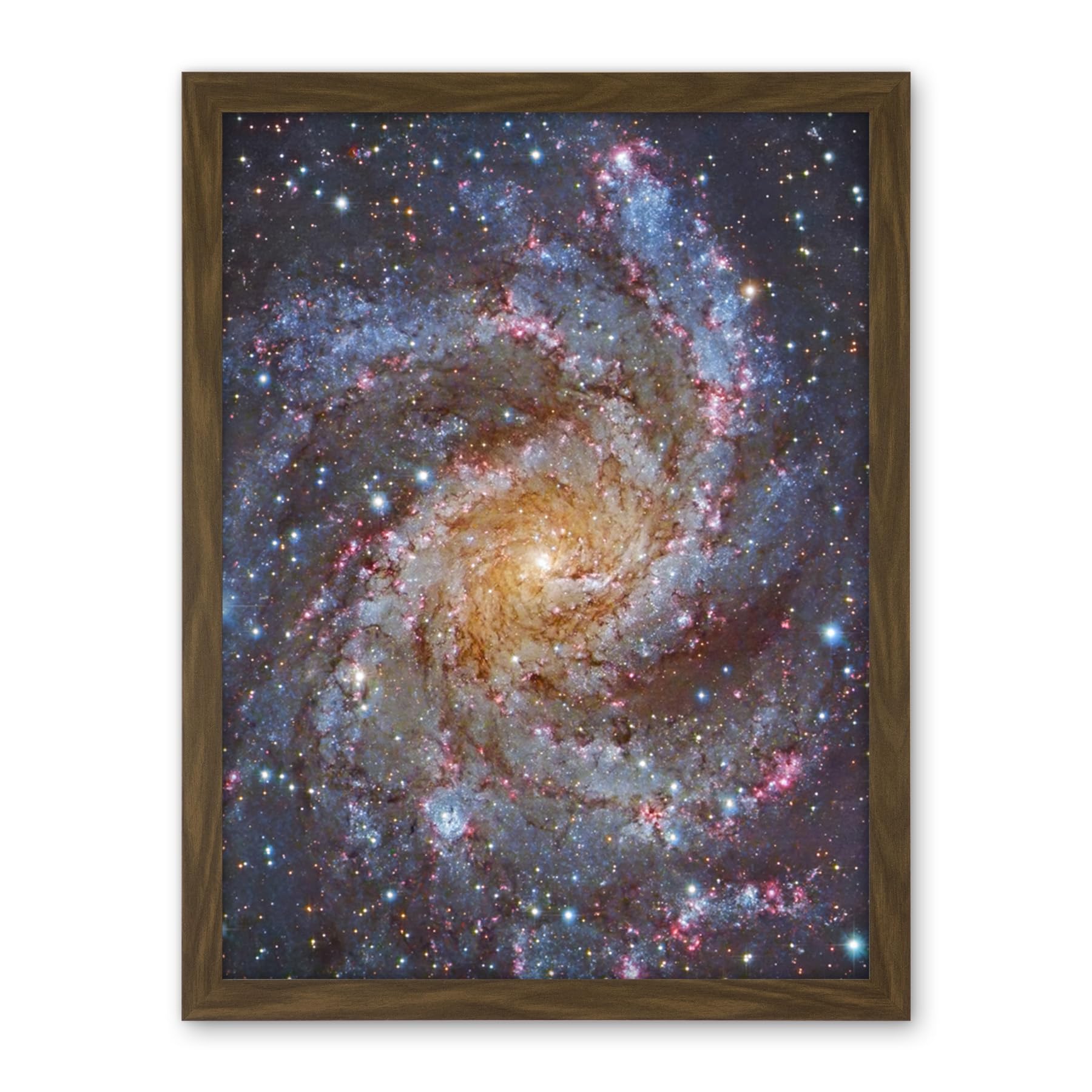 Artery8 Hubble Space Telescope Image NGC 6946 Supernova Fireworks Galaxy Subaru And Red Eclipse Star Cluster Hodge's Complex Artwork Framed Wall Art Print 18X24 Inch