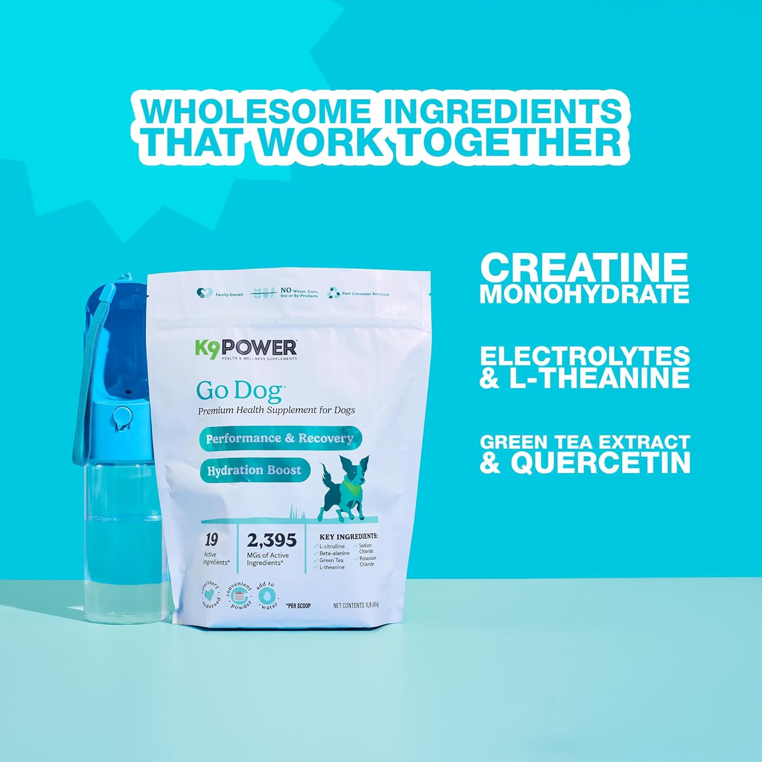 K9Power Go Dog – Hydration & Electrolyte Supplement for Dogs – Boost Stamina, Recovery, Muscle Function & Energy – Beta-Alanine, Creatine, BCAAs, Agave, Green Tea Extract, Electrolytes