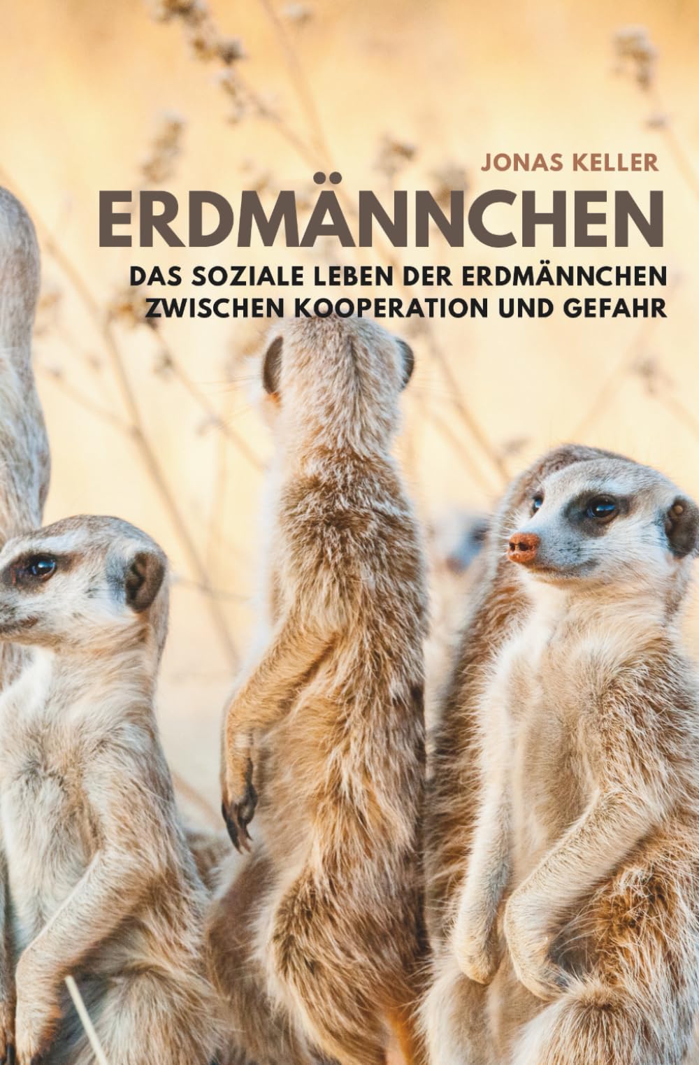 Erdmännchen: Das soziale Leben der Erdmännchen zwischen Kooperation und Gefahr