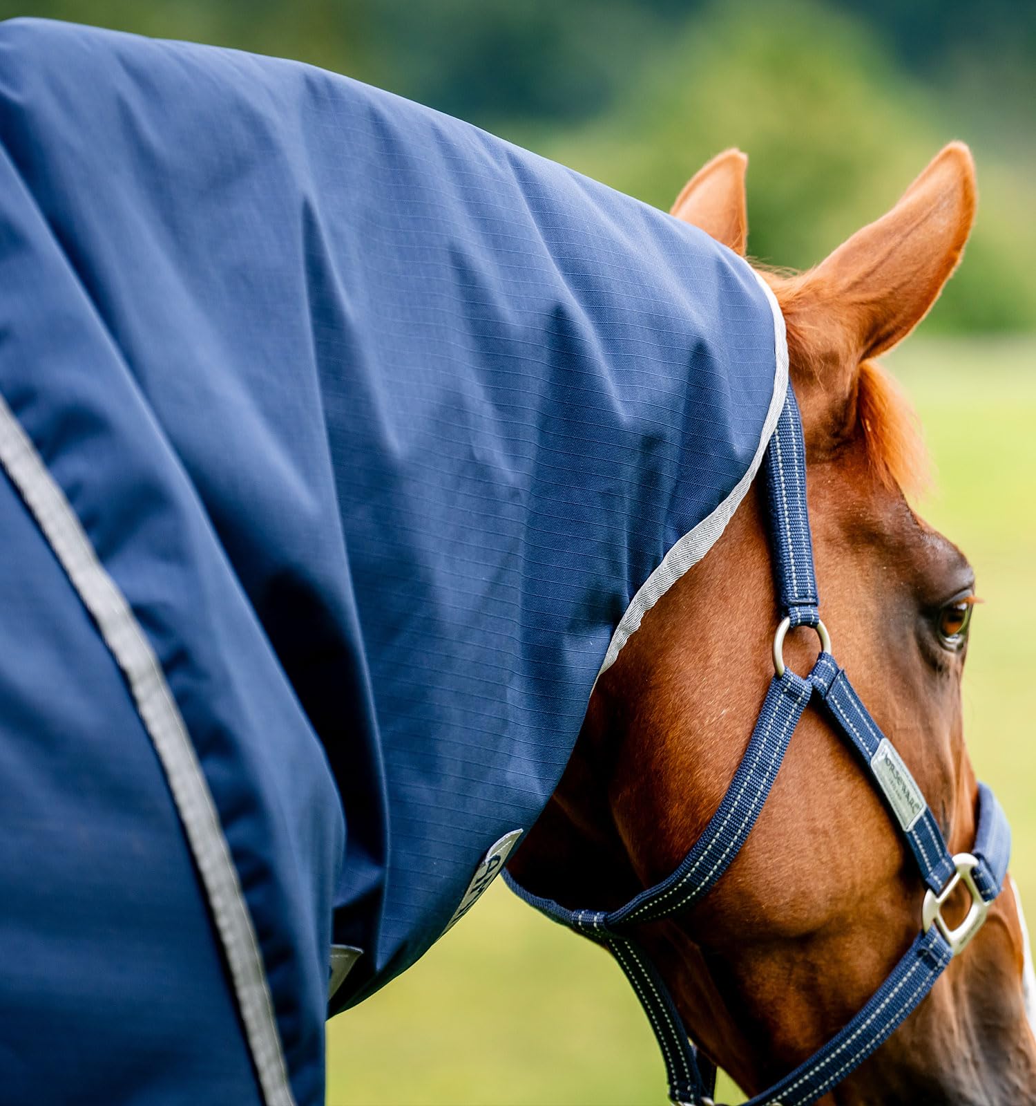 Horseware Deckengröße: 140 cm
