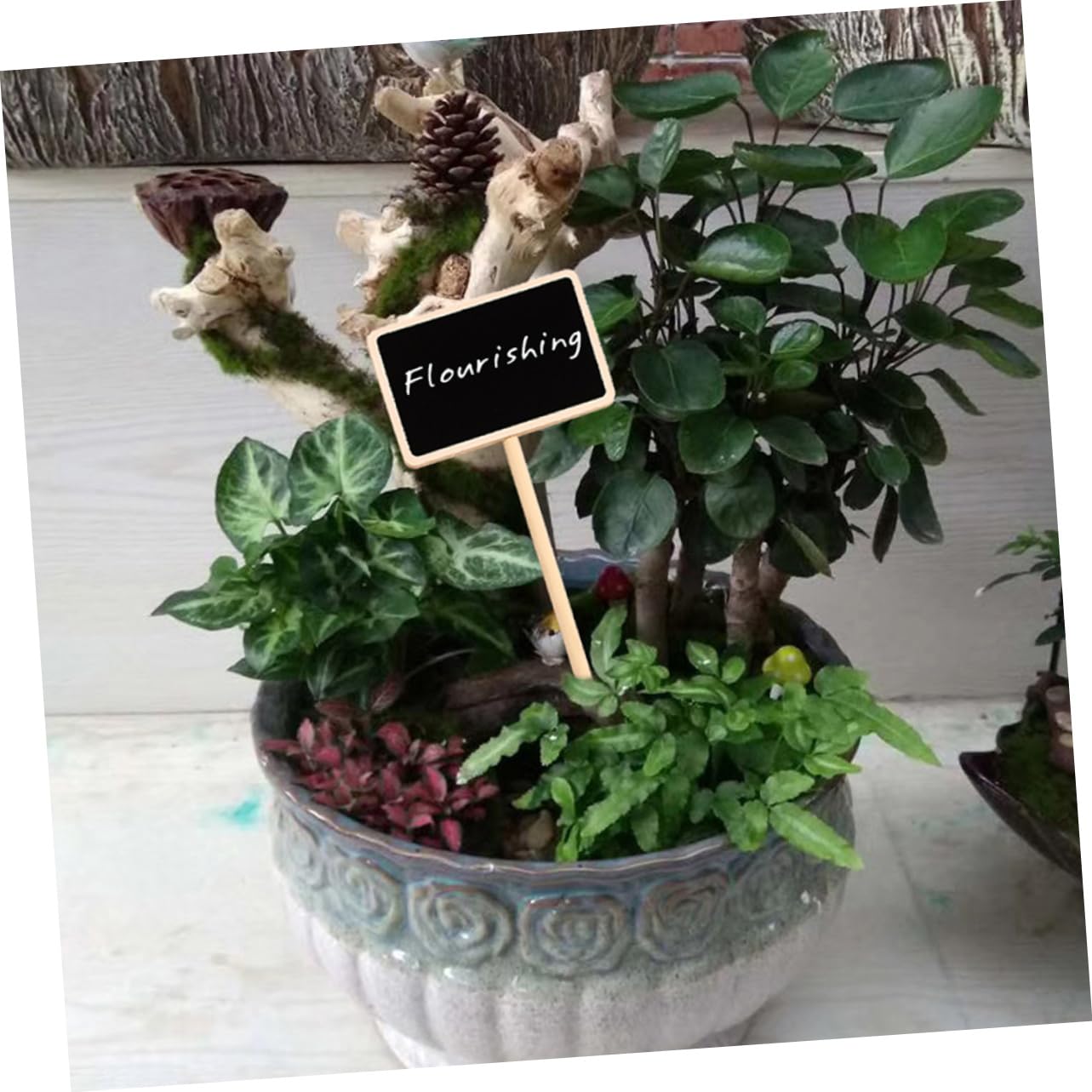BESPORTBLE 3 Set Di Etichette Per Piante Grasse Da Giardino Picchetti in Legno Per Piante Facili Da Scrivere Identificazione Per Giardinieri 20 Pezzi*3