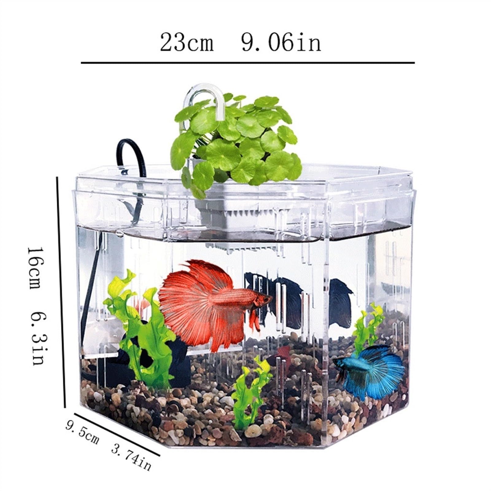 Dekorative Aquarien Isolationsbox for kleine Aquarien, Zucht, spezielles transparentes Acryl-Aquarium mit Pumpenfiltration, Zieraquarium, Büro, Zuhause für das Büro