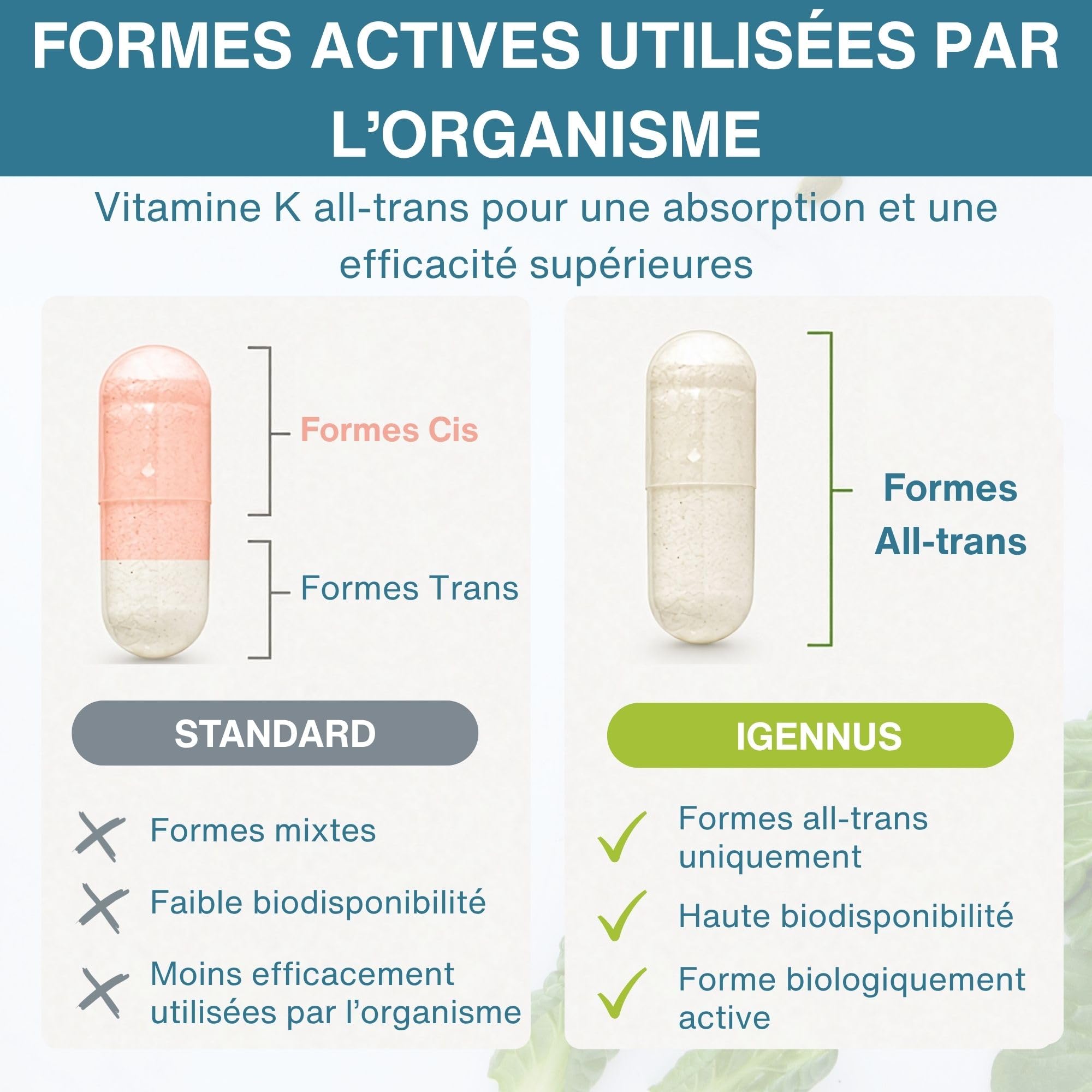 Igennus Triple Vitamine K Complex Avancé 2700 mcg, K2 (MK-4 & MK-7) & K1, Formes Naturelles Bioactives, Haute Puissance, Santé Osseuse et Cardiovasculaire, Formule Pure, Végan, 90 Gélules, 1 par jour