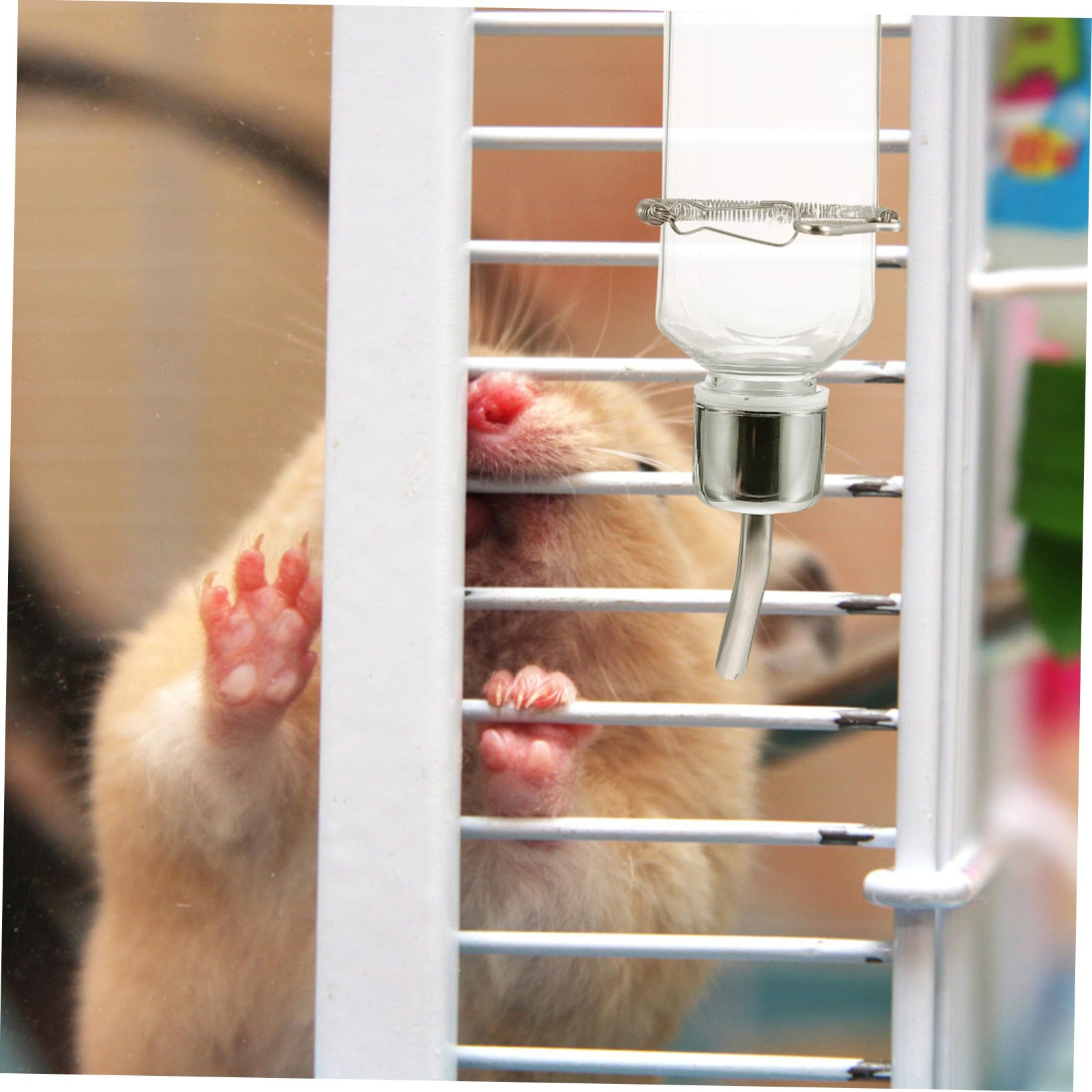 VANZACK 6 Pièces Abreuvoir Suspendu pour Animaux Distributeur Plastique sans Odeur Antifuite Convient pour et Rongeurs