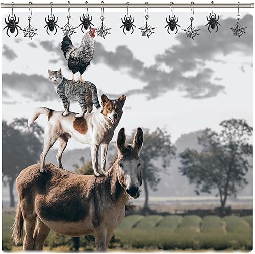 Miniatura 6 de Ganchos de cortina de ducha de araña negra, ganchos góticos para cortina de ducha, accesorios decorativos, ganchos de ducha a prueba de óxido para