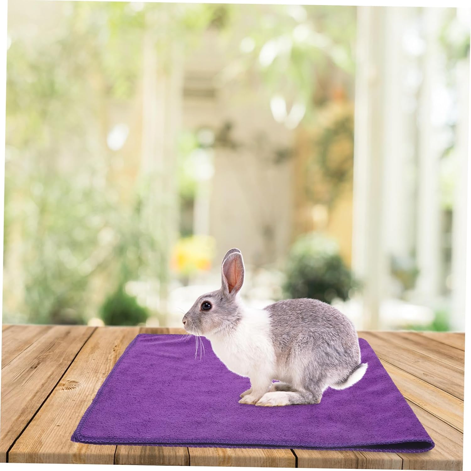 5pcs Washable Guinea Pig Blankets Small Animal Cage Sleeping Pads Soft Microfiber Warm Mat Liners for Hamster Supplies and Pet Bedding Household Pets Purple