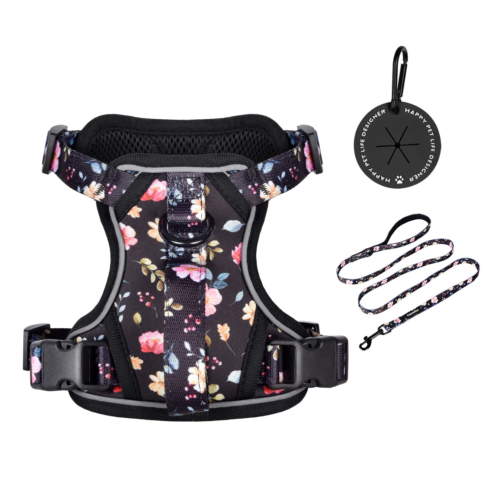 Petmolico Cute No Pull Dog Harness Set