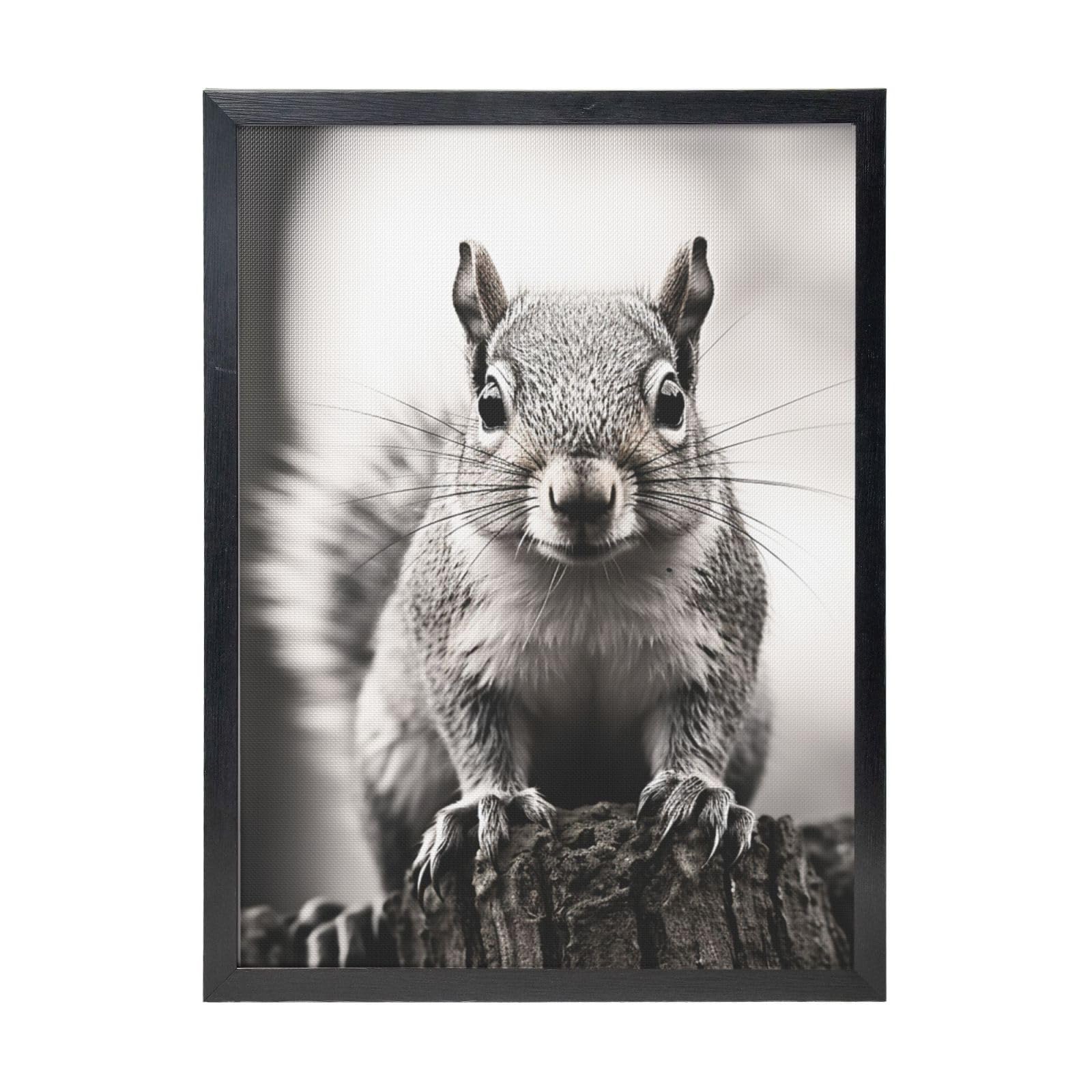 Framed Wall Art - Decorative Canvas Painting Light Gray Squirrel Pictures Poster Aesthetic Modern Prints Artwork for Bedroom Office Wall Decor Ready To Hang 12x16 in