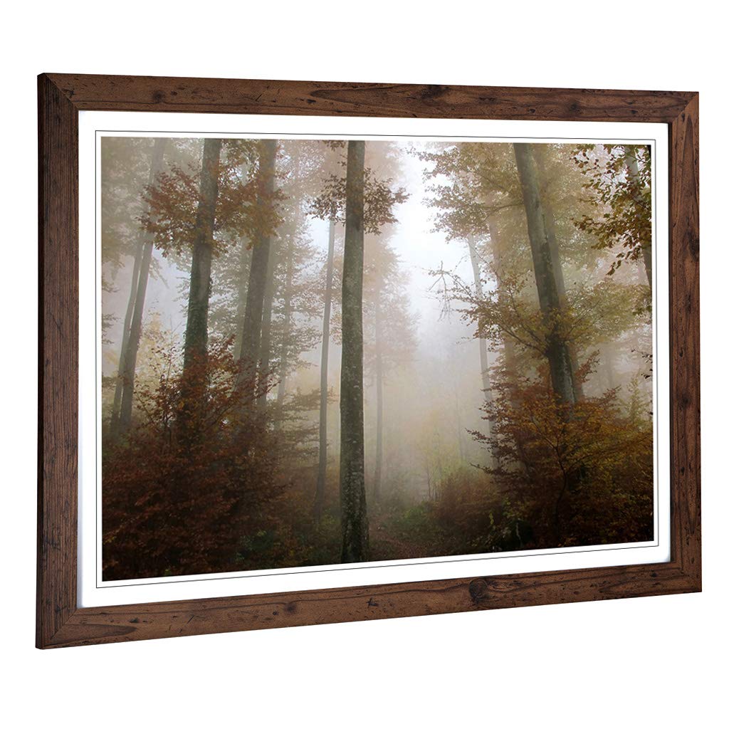 Big Box Art Framed Print of Landscape Sunlight Forest Wood (11) Design | Wall Art Picture | Home Decor for Kitchen, Living Room, Bedroom, Hallway, Walnut, A2 / 24.5x18 Inch / 62x45cm