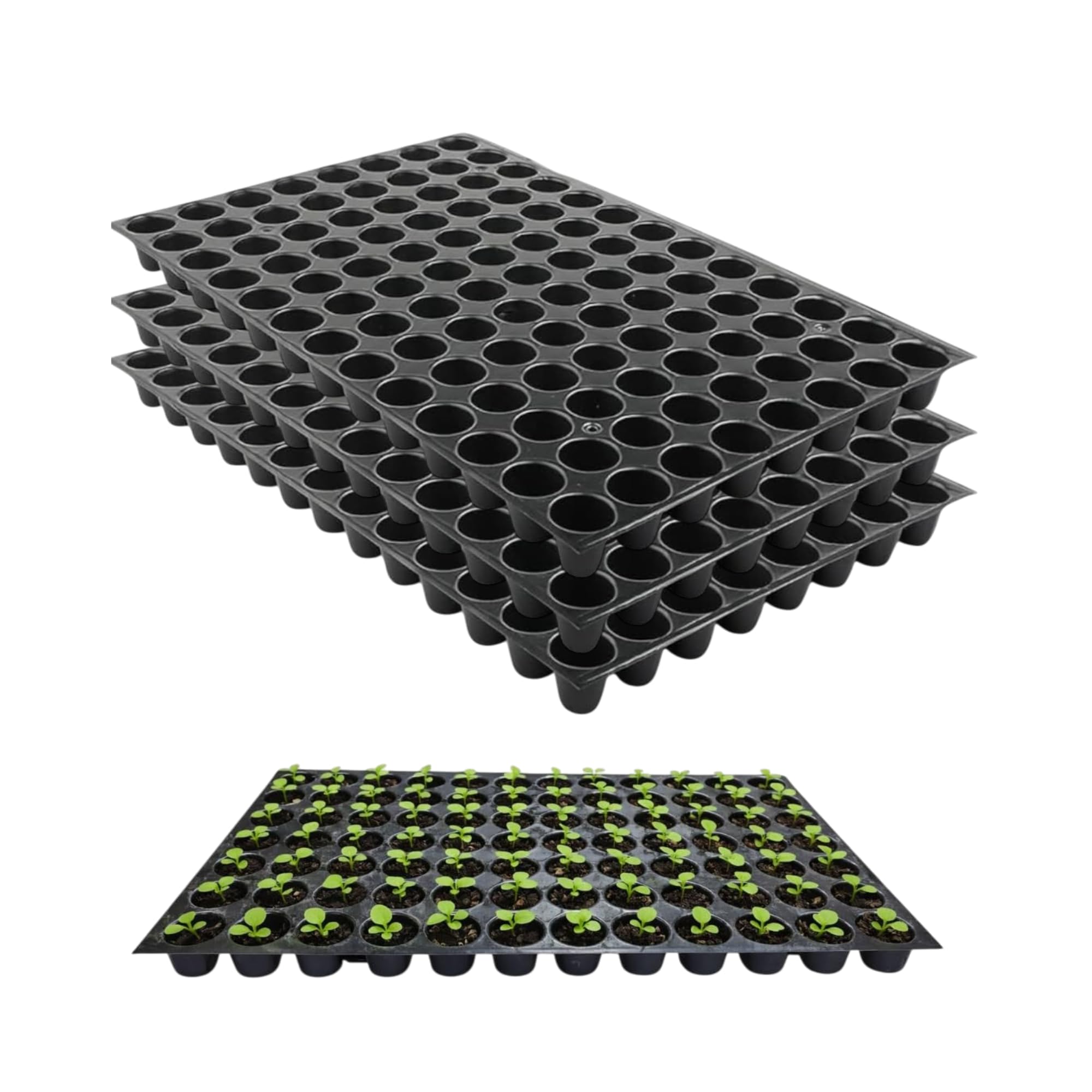 104 Cells Seedling Tray for Plants (Pack of 3) | Reusable Plastic Seed Germination with Drainage Holes | Seed Starter for Vegetable, Flower & Plant Nursery | Garden Propagation Tray-image-48