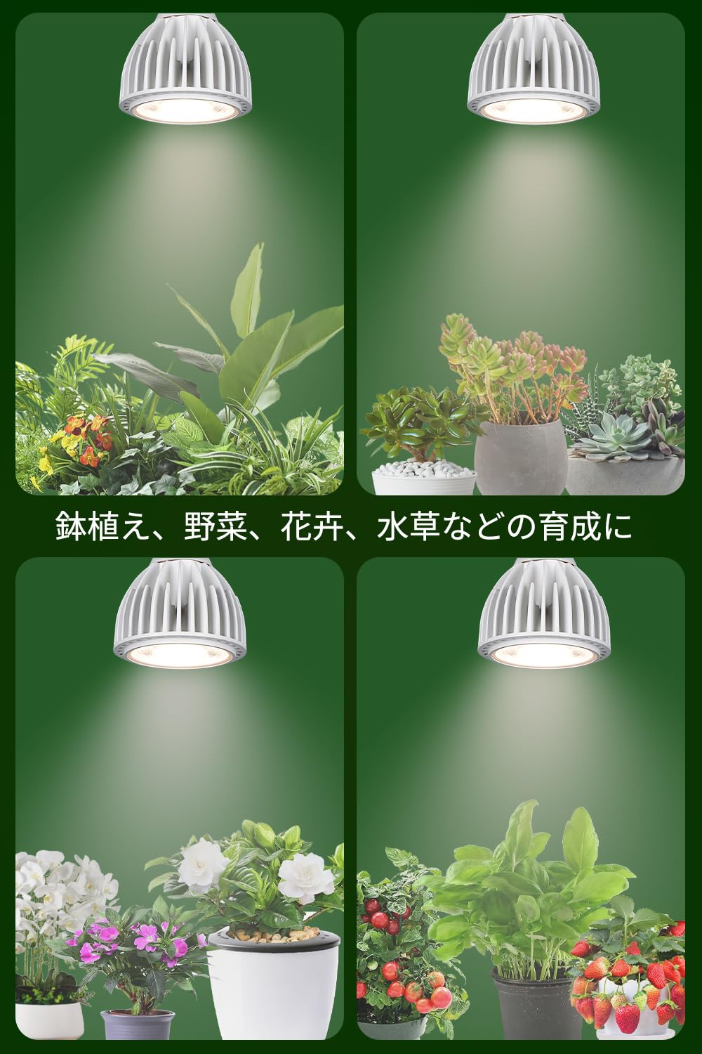 Amazon.co.jp: 植物育成ライト 24W 2000lm LED 植物育成用ランプ led Amazon.co.jp: 植物育成ライト 24W 2000lm LED 植物育成用ランプ led
