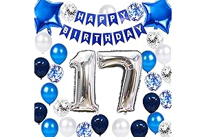 17th Birthday Party Decorations for Boys