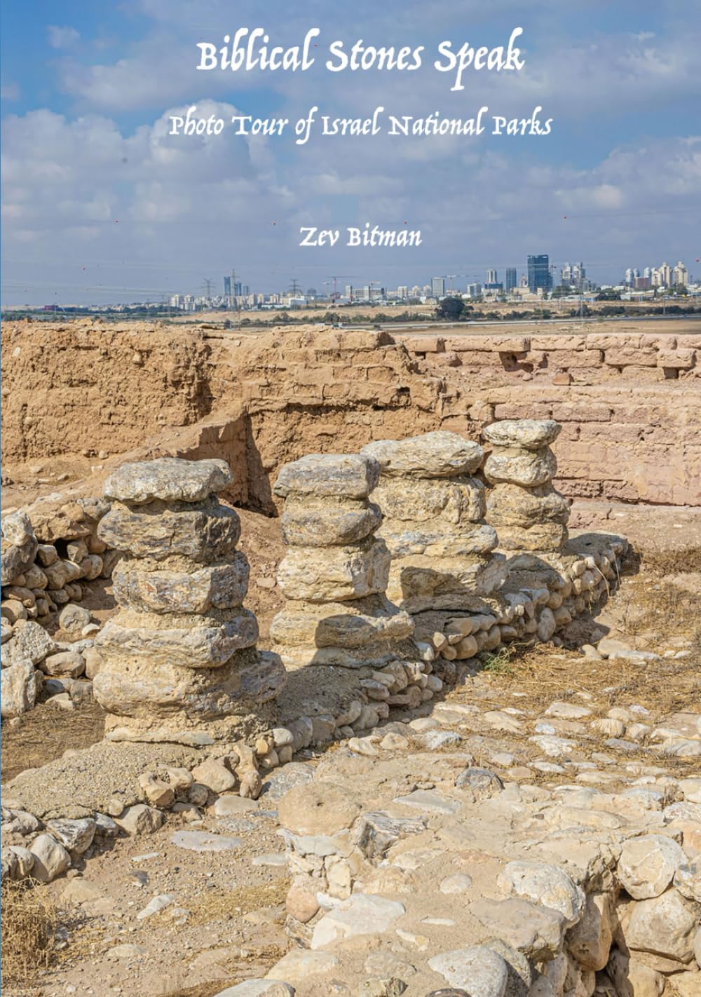 Biblical Stones Speak: Photo Tour of Israel National Parks (Israel Photo Tours)      Hardcover – December 10, 2023