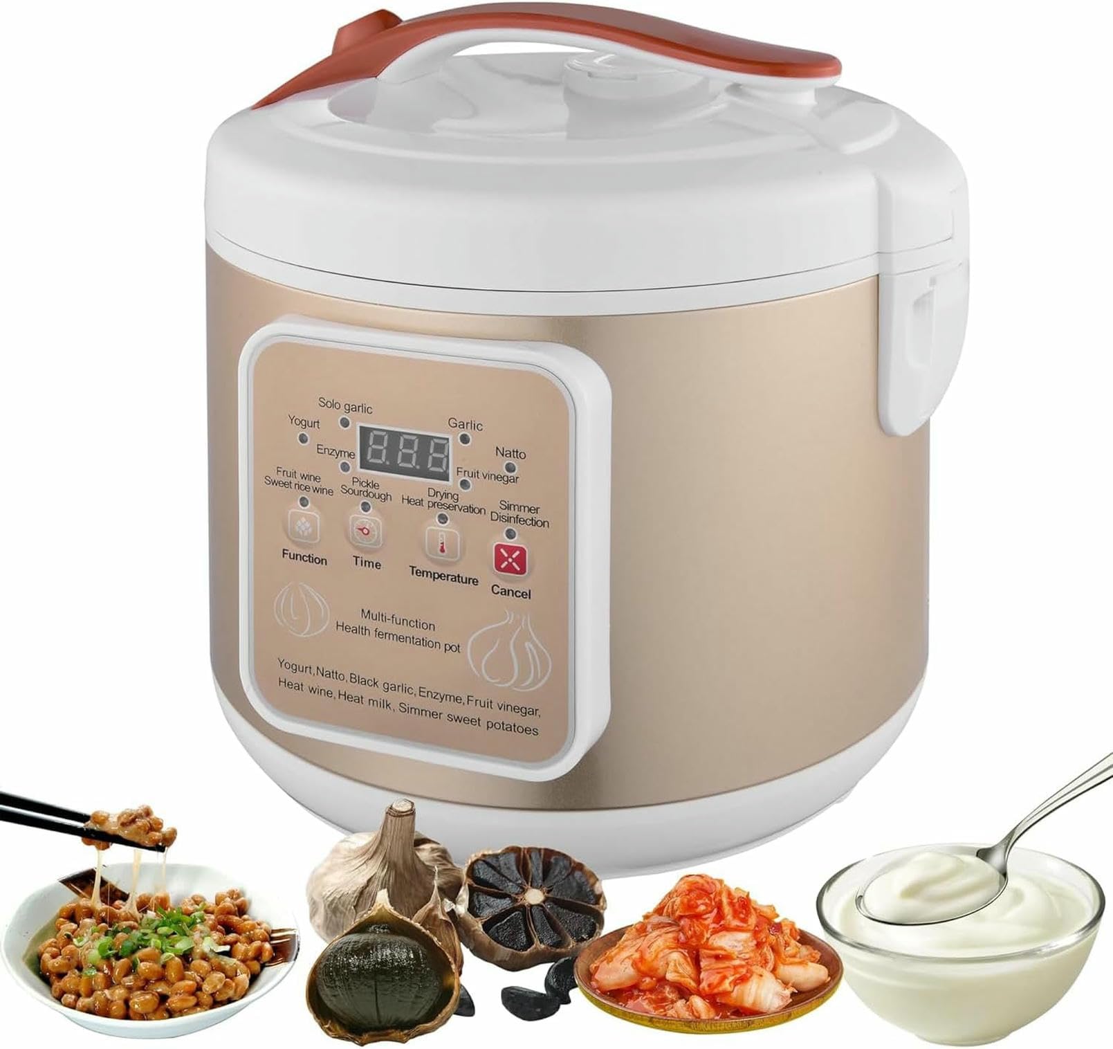 Fermenteur à ail 6L avec contrôle de la température pour yaourt maison