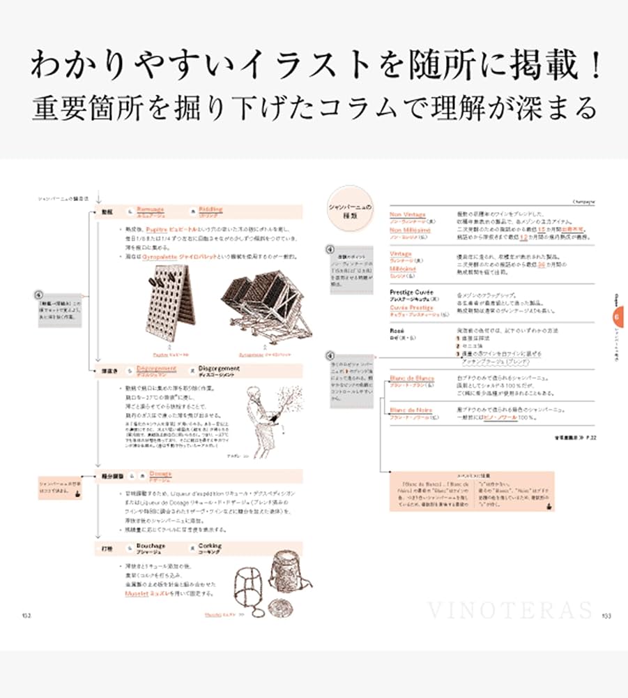 ヴィノテラス ワインスクール ソムリエ・ワインエキスパート試験対策