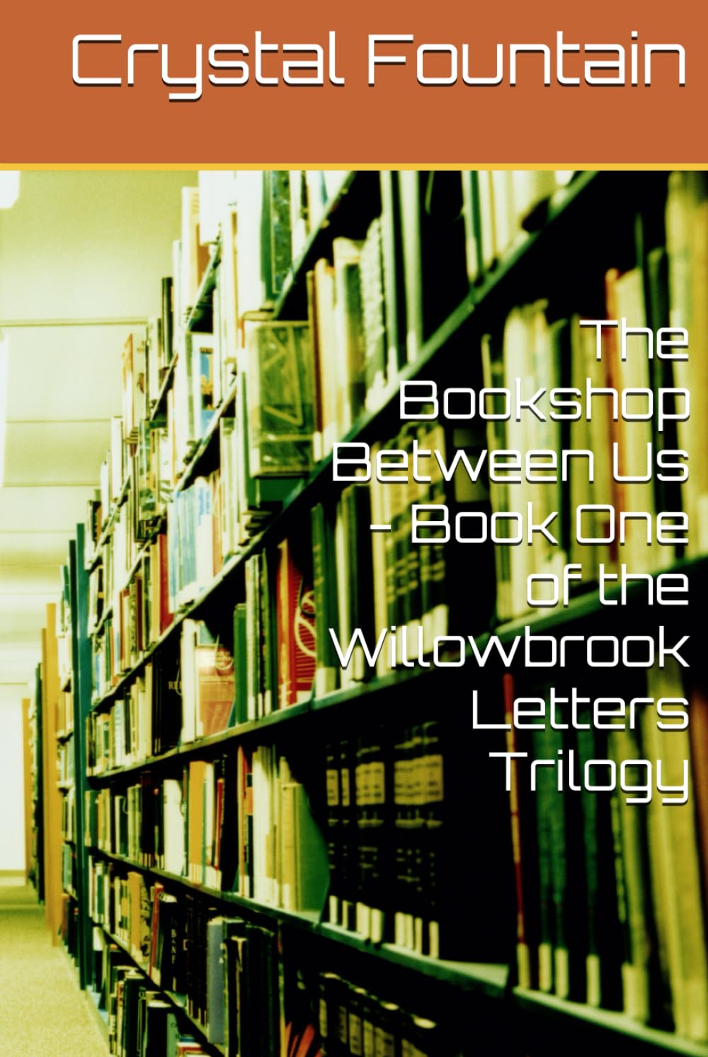 The Bookshop Between Us - Book One of the Willowbrook Letters Trilogy