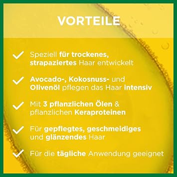 garnier fructis multi- use wunderol for dry hair pack of 1 (1 x 150 ml)