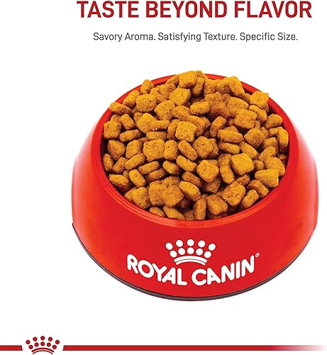 Miniatura 3 de Royal Canin Alimento seco específico para perros de raza adulta bolsa de 10 libras