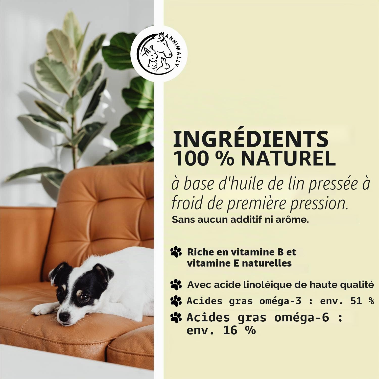 Huile de Lin pour Chiens 500 ML - Huile Chien de graines de Lin pressée à Froid, Riche en acides Gras Omega 3 pour Chien & 6 et en Vitamine B