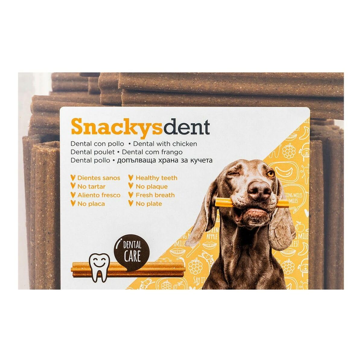 GLORIA Dental-Stick, 1800 g