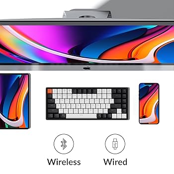 Amazon.com: Keychron K2 75% Layout 84 Keys Hot-swappable