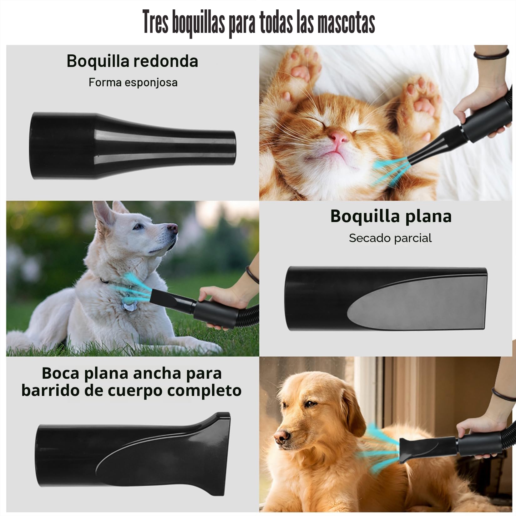 Secador de Pelo para Perros, secador Pelo Profesional para Perros de 2800 W, Velocidad y Calor Ajustables, secador de Pelo para Mascotas, secadores para Perros con 4 boquillas (Negro)