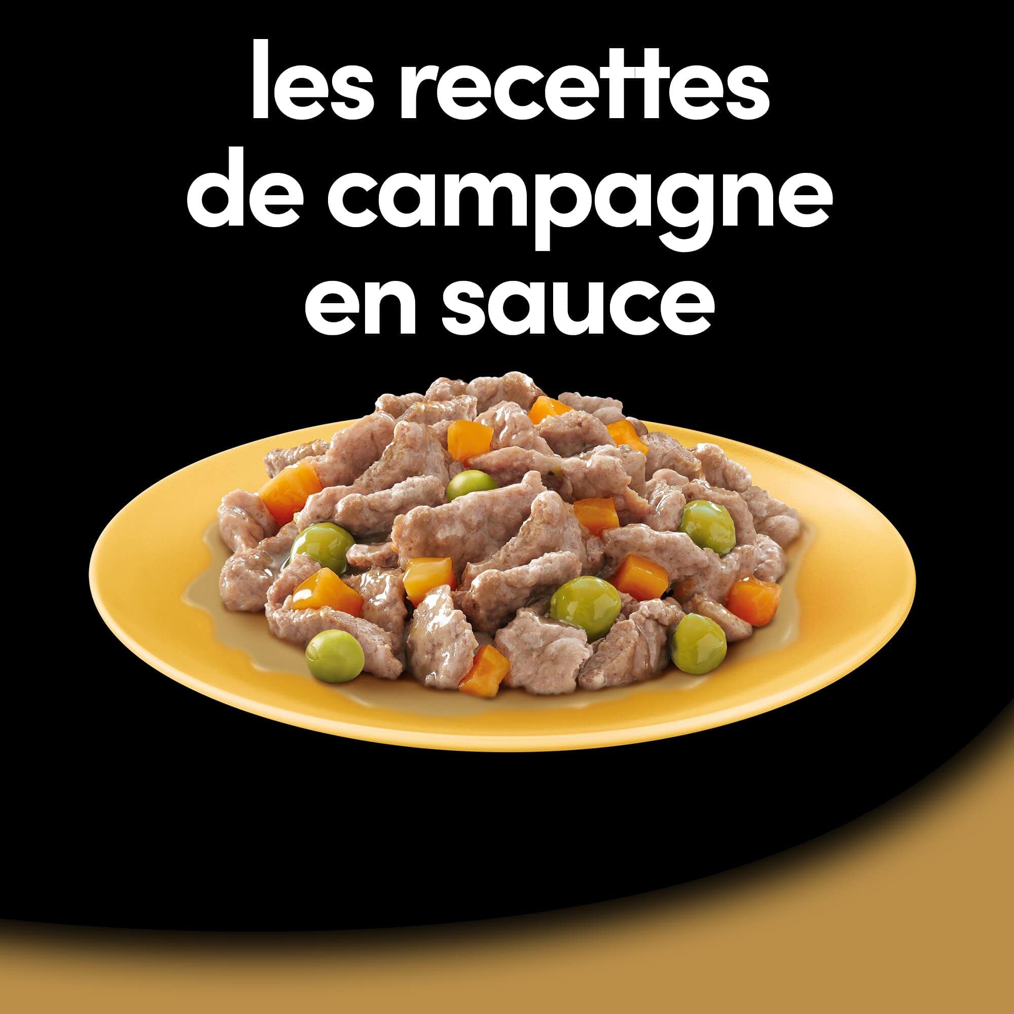 CESAR Pasto per cani – 24 vassoi (set di 3 confezioni 8 x 150 g) – Pasta per cani in salsa – manzo/pollo/agnello/tacchino – Cibo completo ed equilibrato con ingredienti naturali