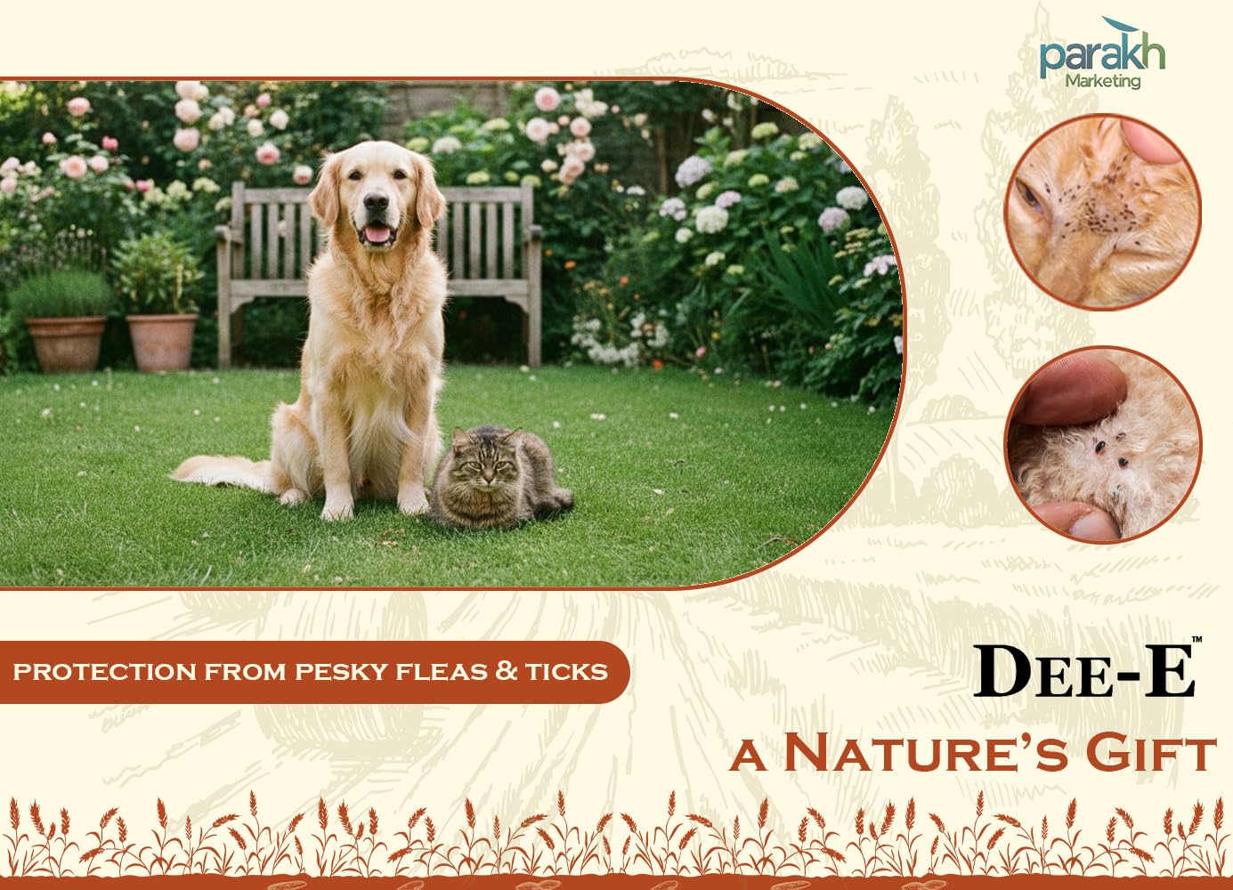 Diatomaceous Earth Powder - Pest Control & Cleaning -3