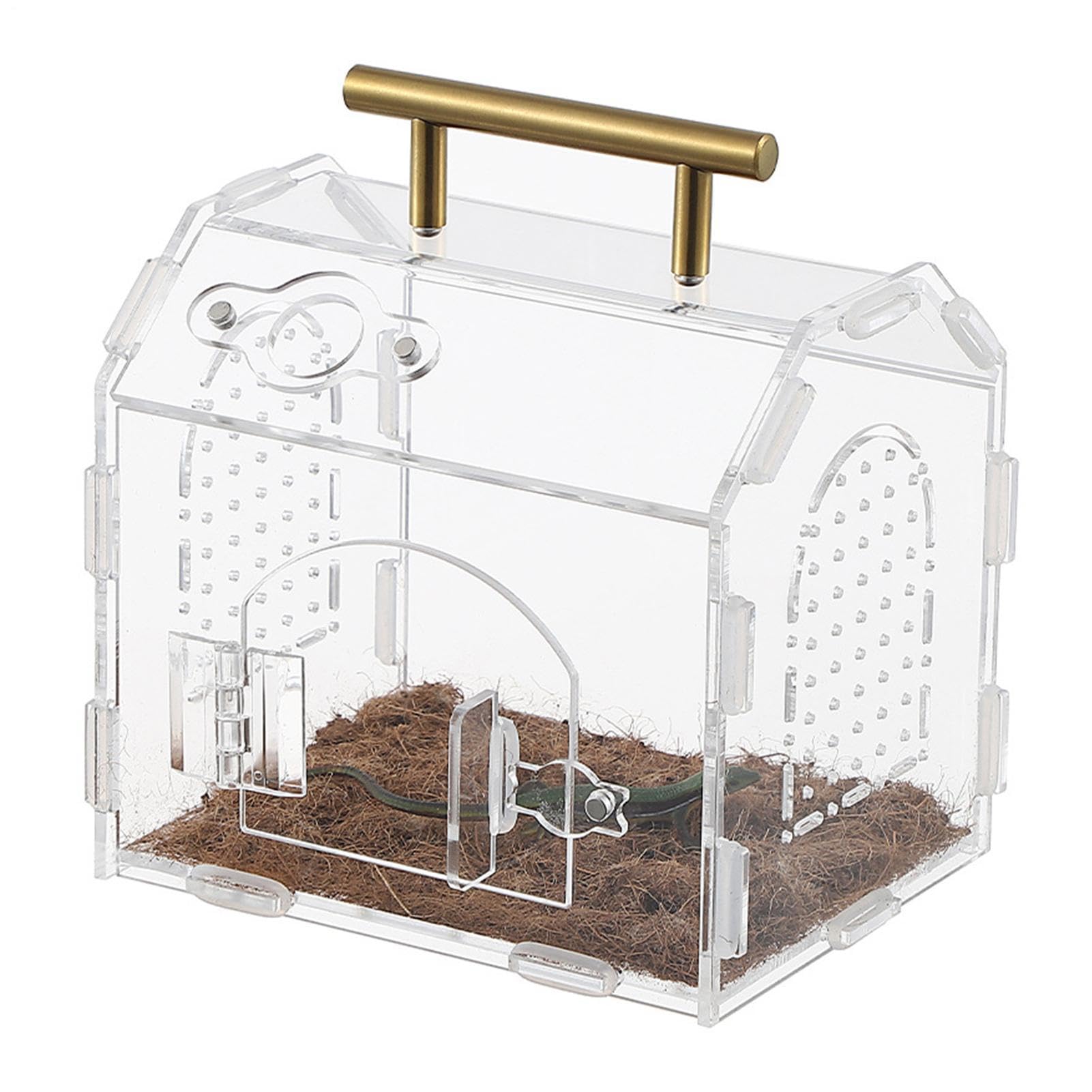 Terrarium en acrylique pour araignées et reptiles de voyage