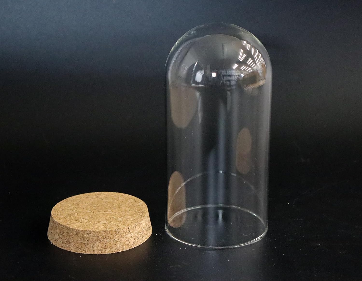 ガラスドームL コルクベース付 6点