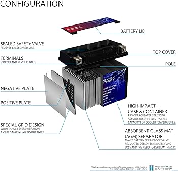 Amazon.com: Mighty Max Battery YTZ12S 12V 11Ah Battery Replacement