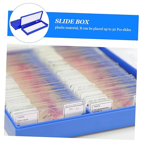 Miniatura 4 de PartyKindom 2 unids 50 Casos de diapositivas numeradas Posiciones de diapositivas Diapositivas Soporte de diapositivas Caja de herramientas