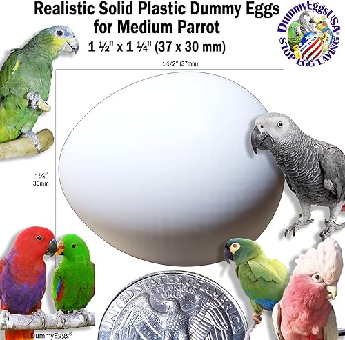 Miniatura 2 de Huevos de plástico simulados de loro mediano para control (2)! 1.5 x 1.25 pulgadas (1.5 x 1.2 in) de plástico sólido no tóxico falsos huevos de