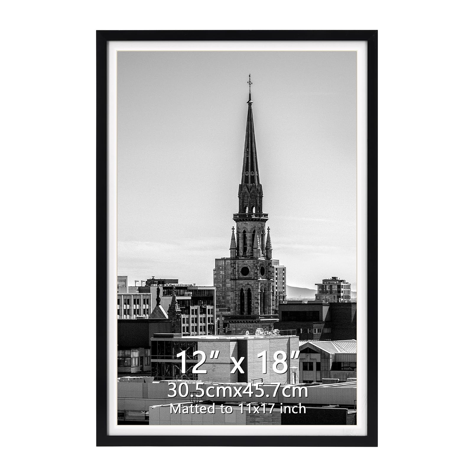 https://m.media-amazon.com/images/I/71i8WXPeeEL.jpg