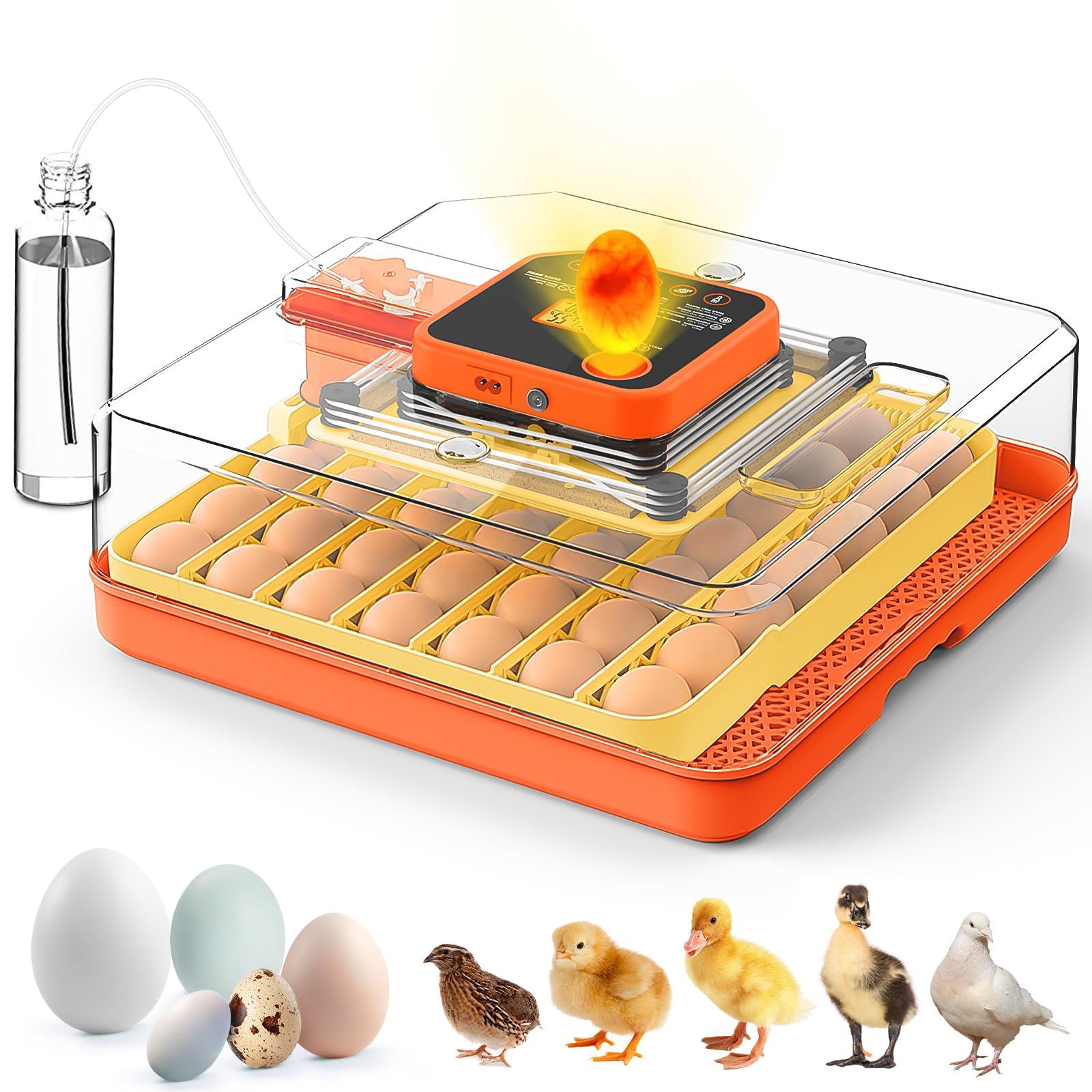 Incubateur à œufs automatique 48 pièces à retournement continu et précis