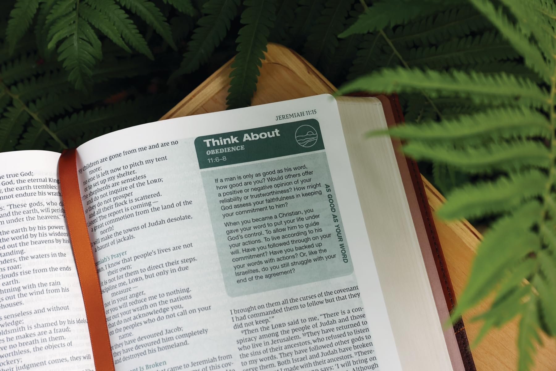 Rooted: The NIV Bible for Men, Leathersoft, Brown, Comfort Print: Shaping Men for Faithful Living in Today’s World