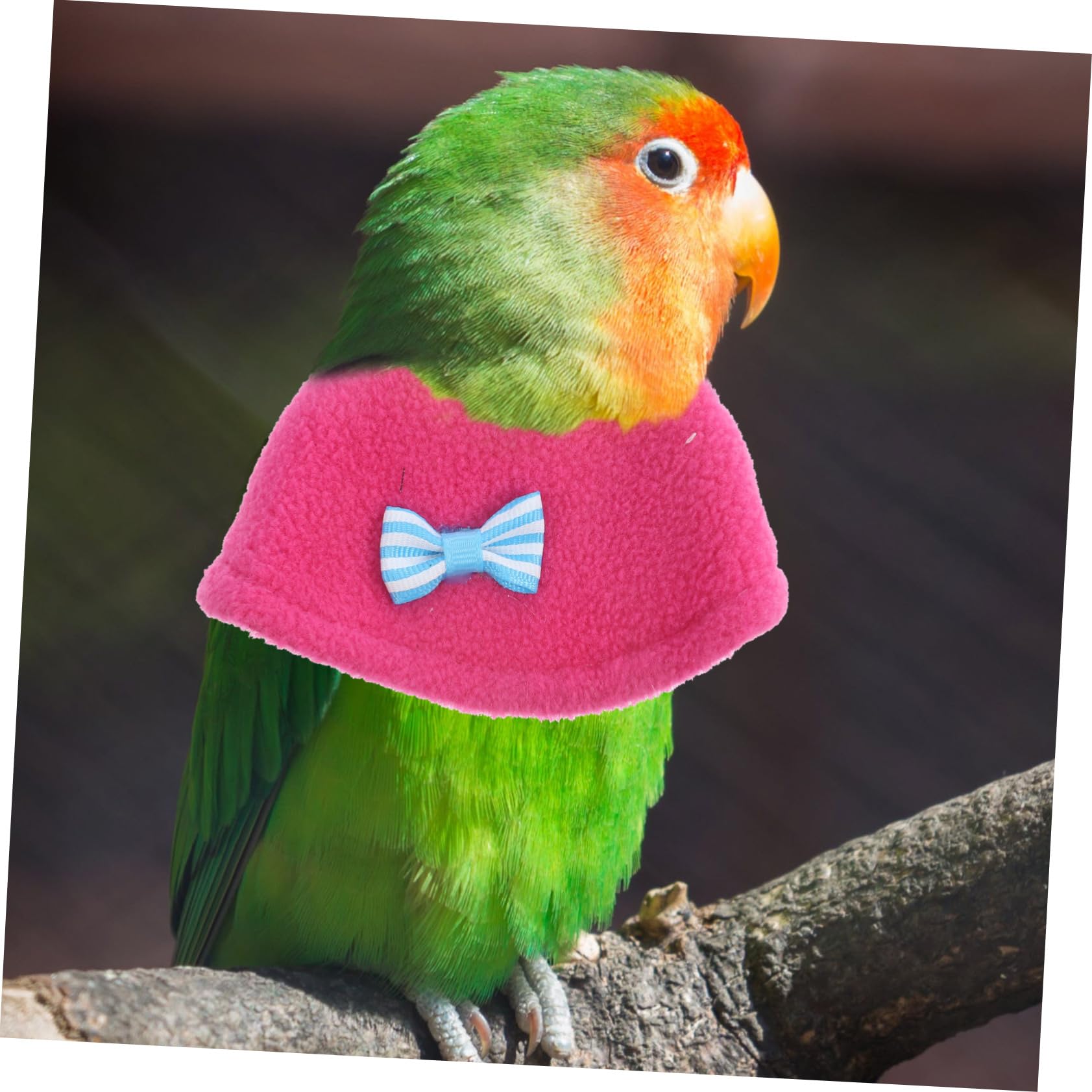 Yardwe Bird -Biting Collar Parrot Cone Collar Soft Neck Protector for Pet Birds Random Color