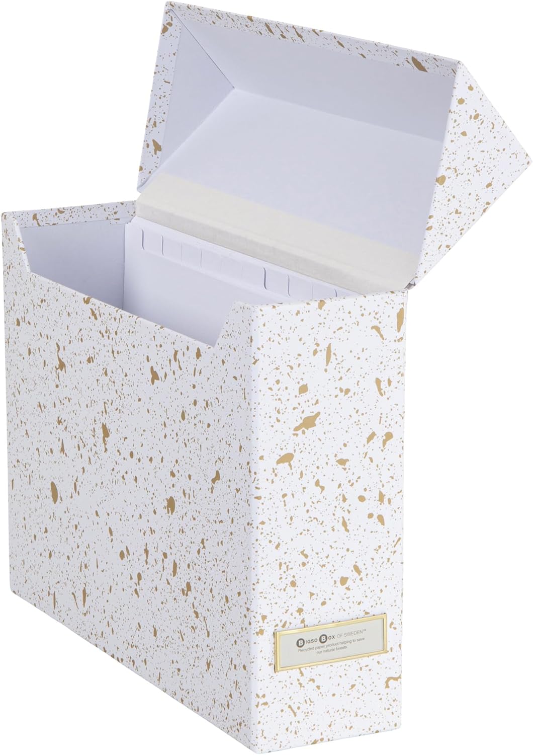 Bigso Lovisa Fiberboard Label Frame 12 File Storage Box - Paperwork Storage Box with Metal Label Holder - Durable Document Organizer with Flip Top Lid - 3.7in x 13in x 9.4 in - Splash Gold