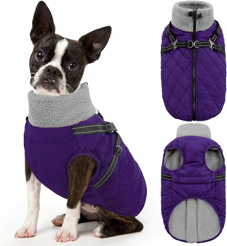 Casaco de Inverno para Cães Queenmore com Arnês Integrado Roxo (XL)
